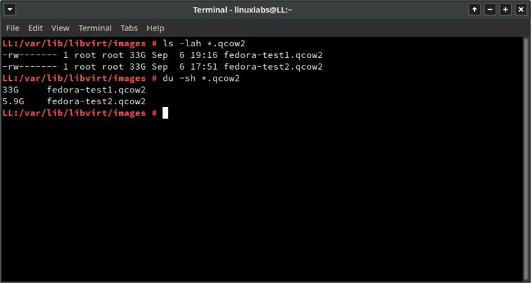 This image shows terminal commands on how to properly check if virtual machine storage is thin provisioned or not