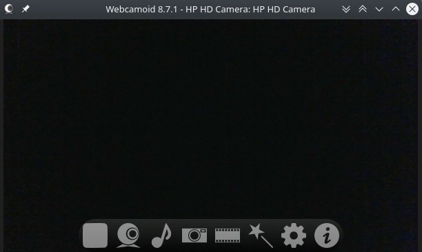 Webcam linux online app