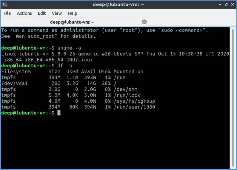 Lubuntu Disk Usage DF Output