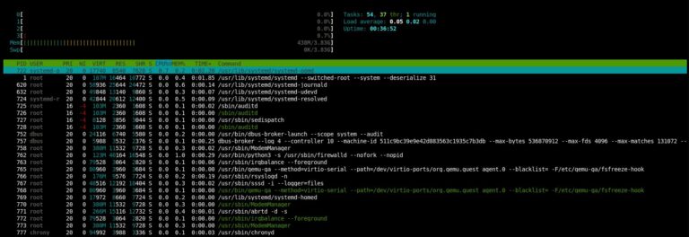 terminal display of the htop tool