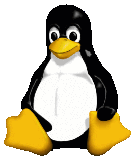 The official Tux mascot for Linux